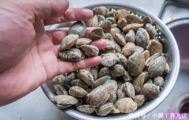 洗花蛤时，最忌直接加盐洗，老渔民教我3招，花蛤疯狂吐沙