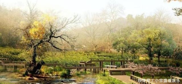 十部顶级种田文小说,质量上佳口碑好,你追过几部?