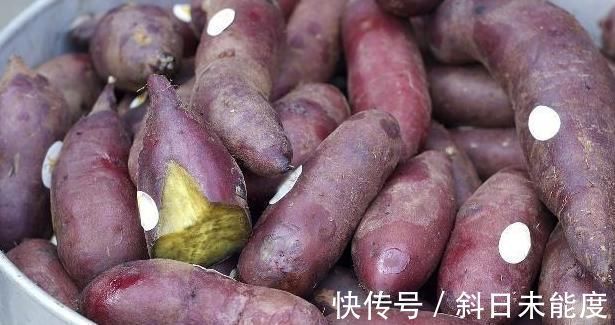 蚕豆|家家户户厨房都有的几种蔬菜,快告诉身边人!别再吃了!