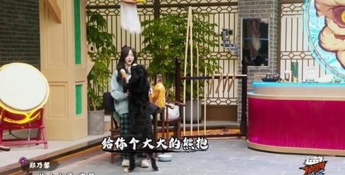 硬糖少女团综看点满满：赵粤公开放水王艺瑾，郑乃馨自言自语超可爱