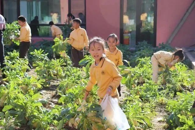 家长|这所小学的“特殊作业”火了，家长们纷纷点赞！你愿意给孩子留一份吗