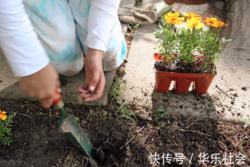 养好花离不开好的土壤,8种适合家庭养花的土壤,养花爆盆