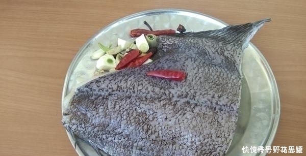 国人最看不起的鱼，却比鲤鱼营养美味，5元一斤却无人问津