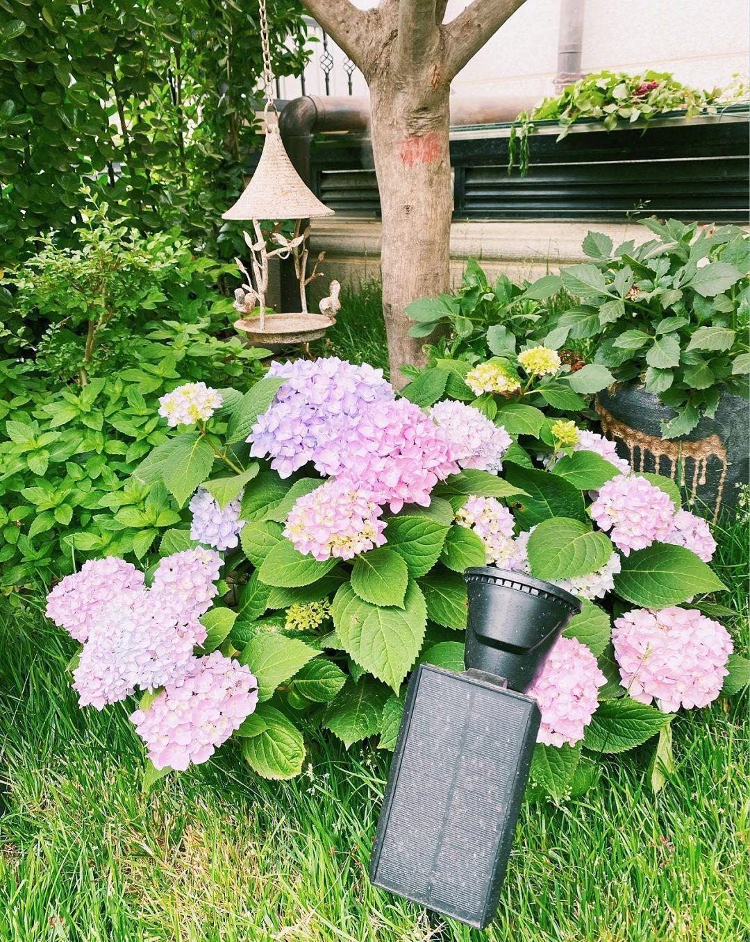 房屋|一楼带院子的房子值得买吗?看看这些底楼的庭院花园,挺让人心动