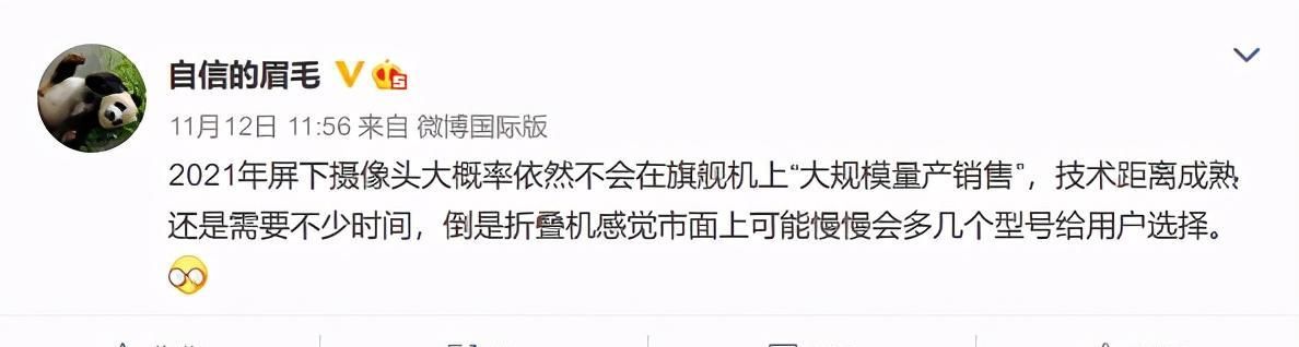 屏下摄像头|屏下摄像何时大面积商用？沈义人：明年大概率不会