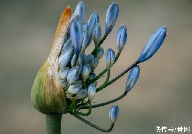 情深|7月底，寻回前任，难抵情深，相遇挚爱，永不辜负的生肖