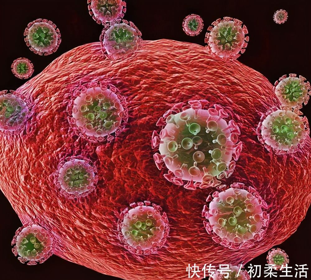 红薯|这4种食物被称为“抗癌蔬菜”,建议大家多吃,还能保护心脑血管