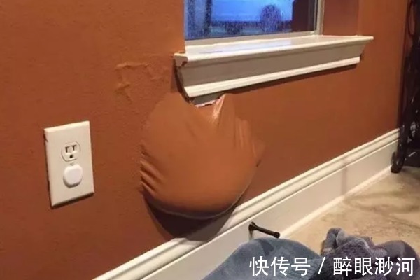 |盘点人们遇到的那些既倒霉又搞笑的时刻,看完不厚道地笑了