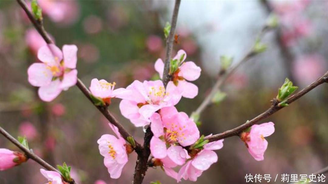 元稹的一片深情让人感动，这首经典的《桃花》，每一句都很感人