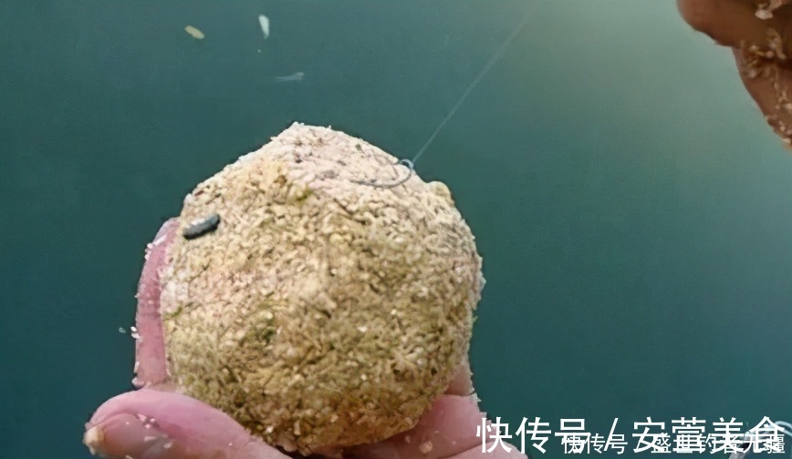 窝子|野钓鲤鱼,关键技巧是这四个,上鱼速度快又狠——盛世三渔