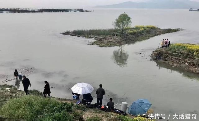 春季钓鱼为什么越是晴天，鱼越难钓这4方面有原因