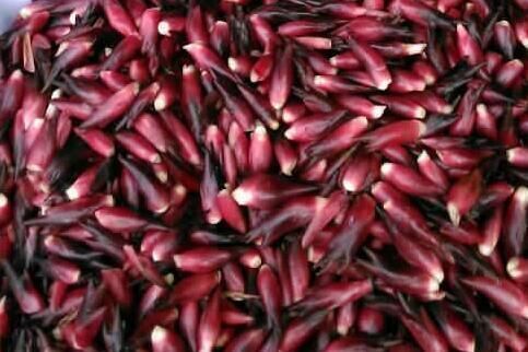 强身健体|会吃的人最健康,三种食物离不开,排毒养颜,改善睡眠,抗衰老