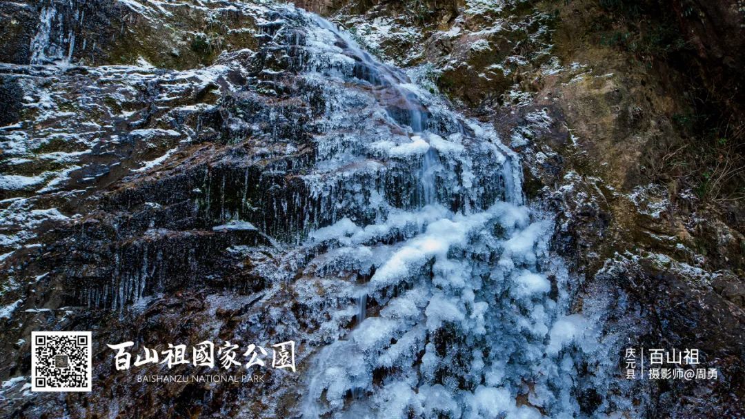 庆元县|不是初雪，胜似初雪，庆元雾凇，宛若仙境！