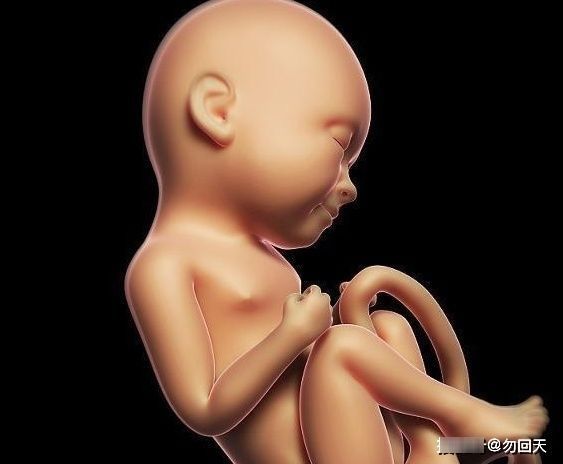 宝宝|孕妇若出现3个“苗头”,别慌张,或许是宝宝智商“高人一等”