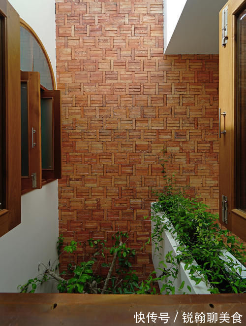 主卧|她住128㎡的联排别墅，家里3处天井，满眼绿色，像个植物园