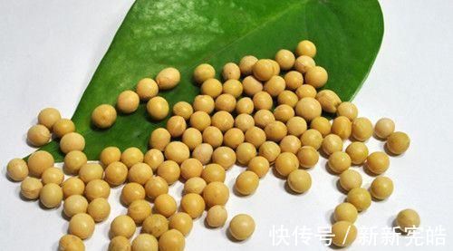 苦瓜|若想癌症不来扰,6物坚持每天吃,清除体内毒素,增强免疫力