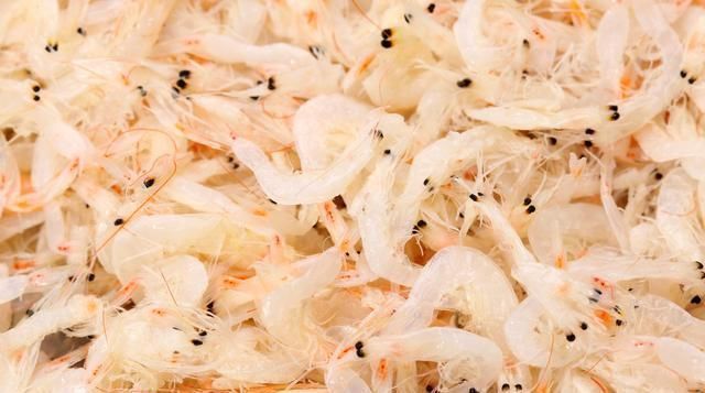 李姐|5岁儿子开心得手舞足蹈，宝妈却傻了眼，抱着孩子冲进医院