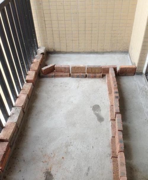 鱼池|在阳台上砌个鱼池，成本只花200元，亲戚朋友们都眼红了