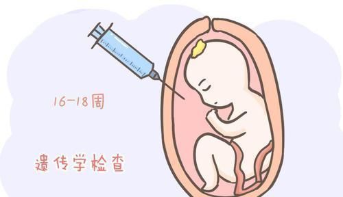 胎宝|孕期四维彩超,若能看懂报告上的这几点,胎宝或许就没有小秘密了