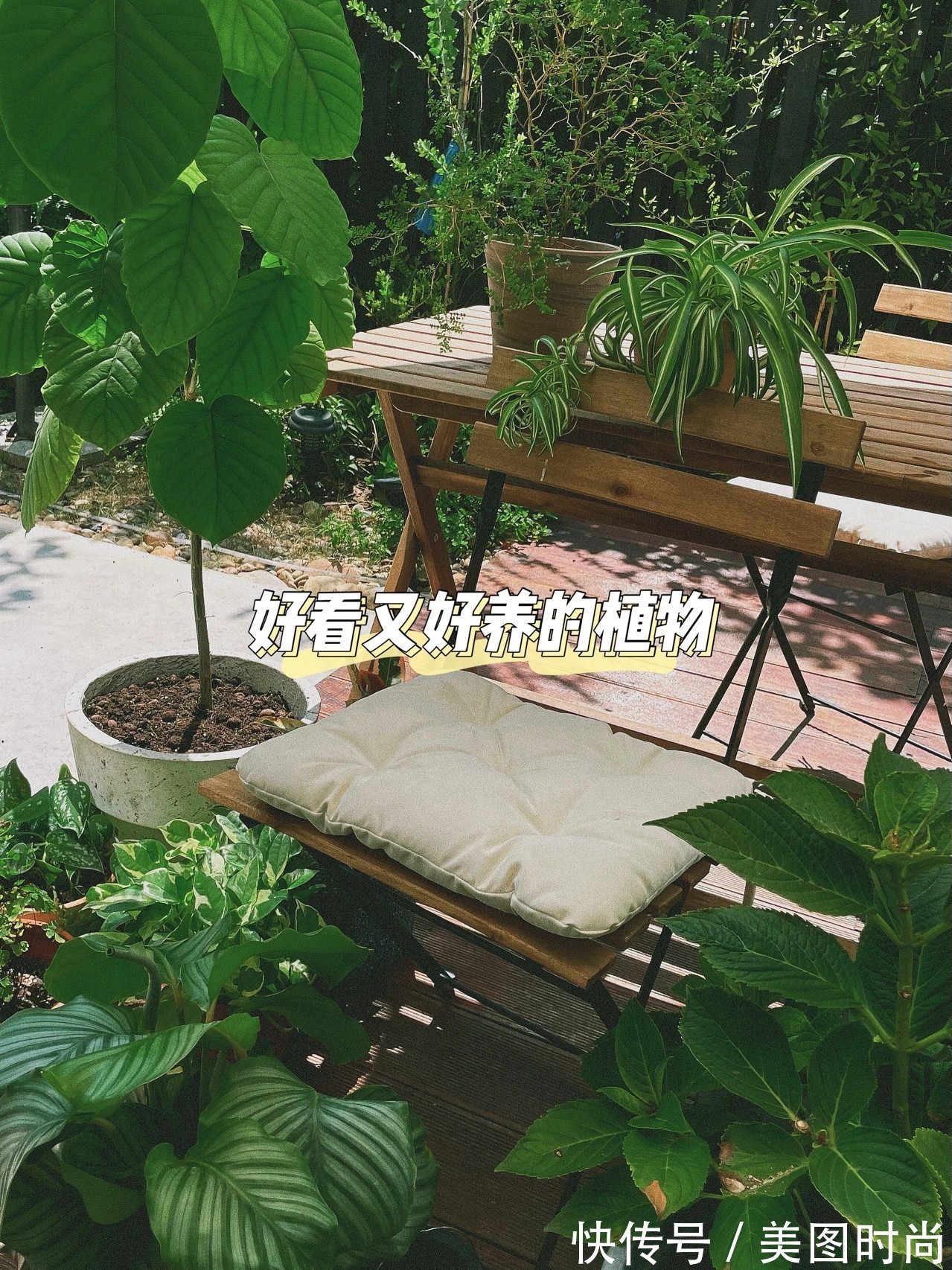 花园|花了两万块,用了7天时间改造40㎡一楼花园,分享花园改造过程