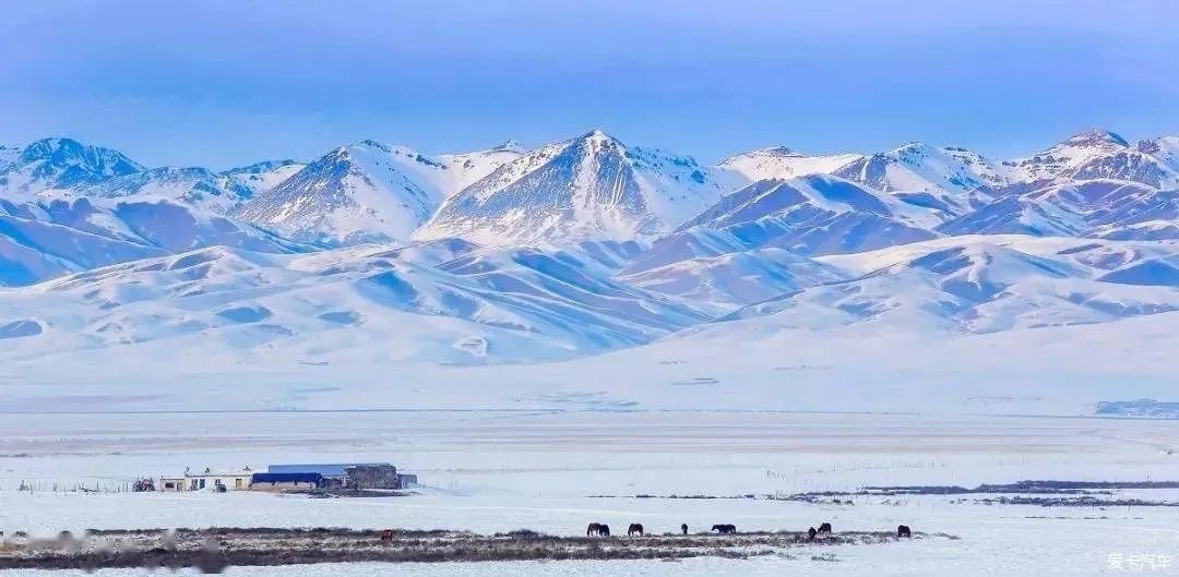 不到过新疆，永远不知道雪有多大。