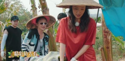 周迅夠特別，錄《向往4》換了5套造型，穿4萬(wàn)多大牌外套干農(nóng)活