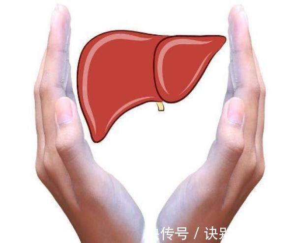 食物|吃黄瓜会让肝脏受负担?医生建议:多吃这4个食物,肝脏才更健康