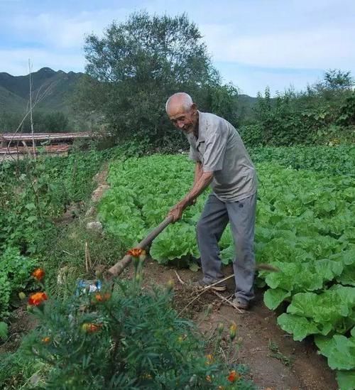 大病|身体有6个特征的人，提前恭喜，你有可能是“癌症免疫体”