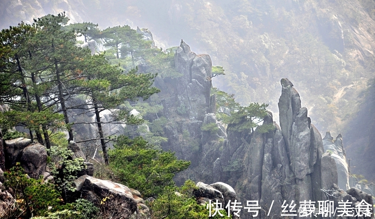 清新脱俗#十首隐士古诗词:香风不动松花老,白云遍地无人扫