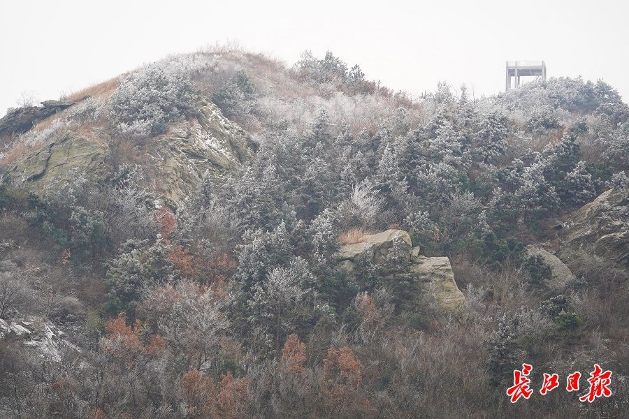 薄雪|木兰山薄雪轻盈