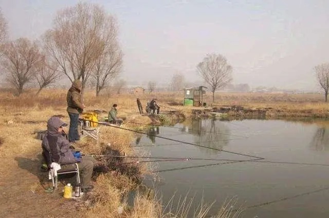 冬钓鲫鱼,牢记“四大可钓”情形,只有老手才明白!