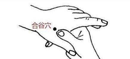 阳维脉|万病从寒起!人体一奇穴,把外感风邪、内动肝风,通通都散掉!