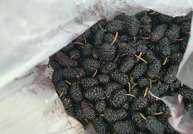 老年人|建议老年人:如果不差钱尽量多吃这种食物,营养健康,提高免疫力