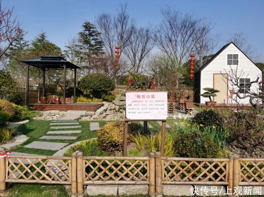 错过|快来一起赏“梅”景！去年没约成，今年别错过啦