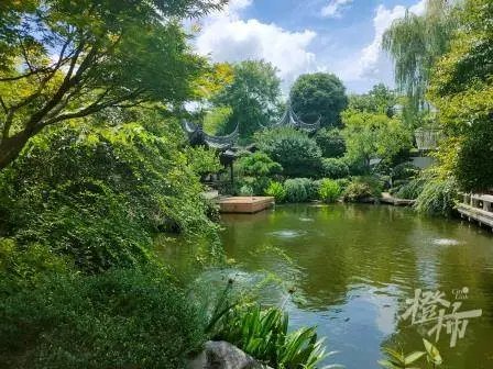 杭松居|连夜筹款5000多万，结果只是“来看看”？这降价2310万房子流拍了