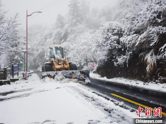 名木|安徽黄山风景区平均积雪深度11厘米