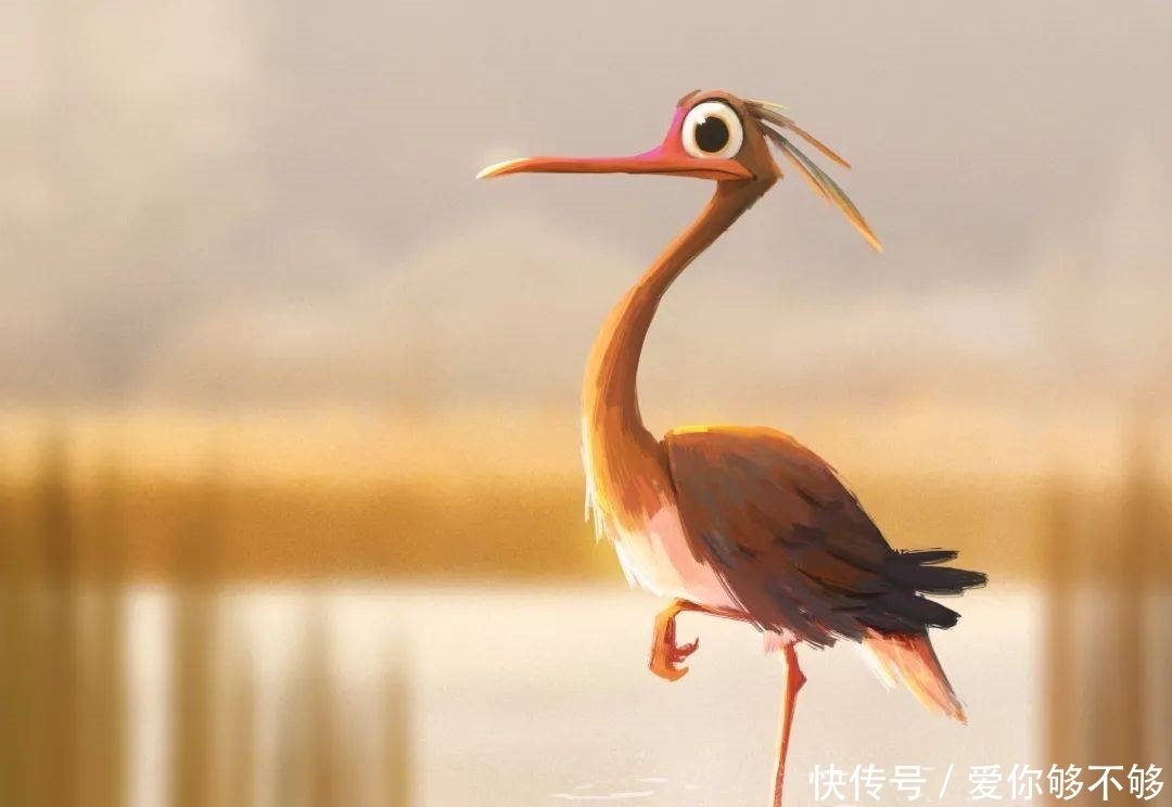 插画|三组各具特色的动物插画,看完很治愈~