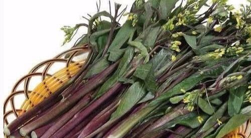 對人體極好的食物，推薦大家常吃，駐顏美容，祛黑斑，利五臟