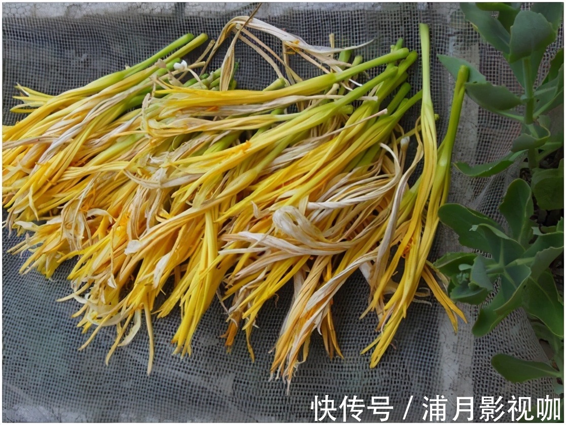 黄花菜|中年人要会养生，多吃的食物，补血养颜，预防贫血，有效缓解皱纹