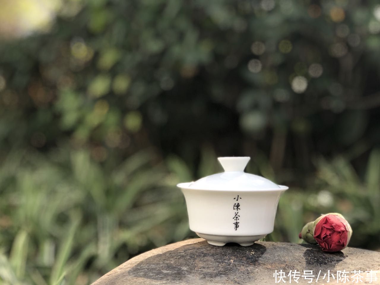 绿茶、白茶、红茶该如何储存？正确认识存茶，这4个误区记得排雷