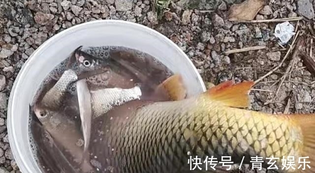 教你做一个“永久鱼窝”，只要别人不知道，连竿上鱼的永远是你