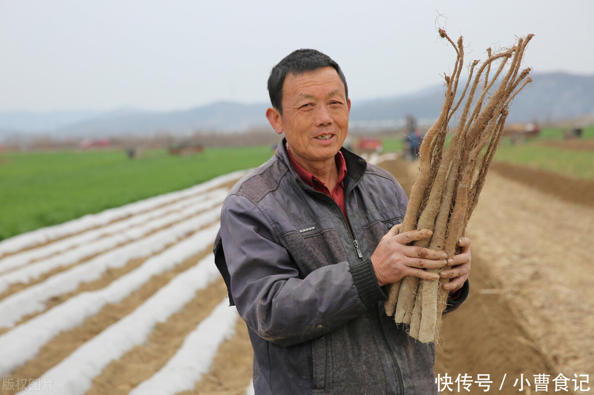  山药|明日进入冬月，进补正当时，这4种“地菜”要常吃，舒舒服服过冬