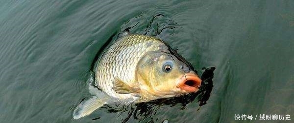 野钓时，为何你总钓不到大鱼？老钓友只重视这2点，新手却常忽视