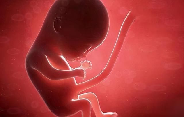 脐带|剪脐带宝宝痛吗？