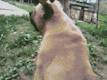 |搞笑GIF：都建功立业了，还是改不掉看见妹子就想抱的冲动