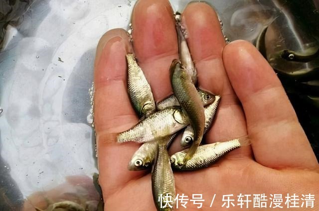 钓鱼不可死等候,东河没鱼西河走,遇到这几种情况要果断换钓位