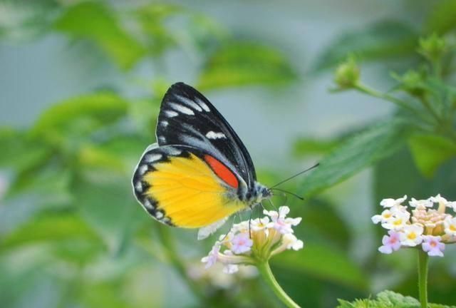 四等秀才|不出名却文采飞扬的3副对联,水平很高,让人打心眼里佩服