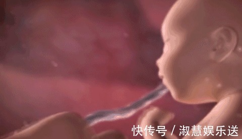 胎儿|除了睡觉，胎儿在妈妈肚子里干啥呢每个妈妈都应该看看