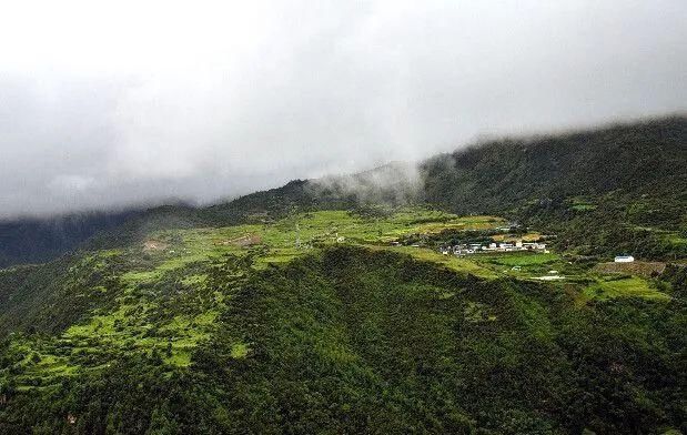 错那县|再见山南杜鹃花丨一生必去的绝美秘境!