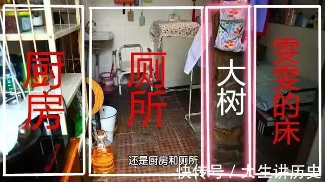 大树|15米大树穿过20㎡老屋，一家人害怕遭雷劈，出价8万挖走也不敢卖